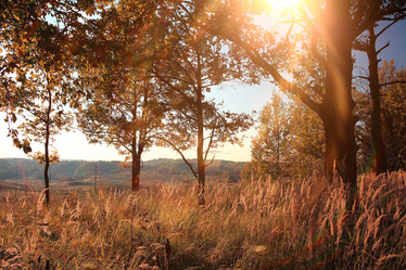 Similar image 10500639