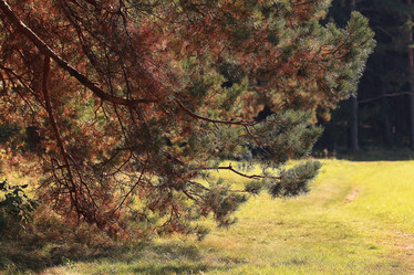 Similar image 10500640