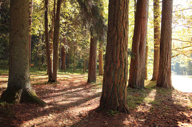 Similar image 10500641