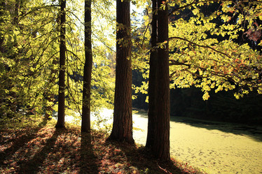 Similar image 10500642