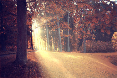 Similar image 10500647