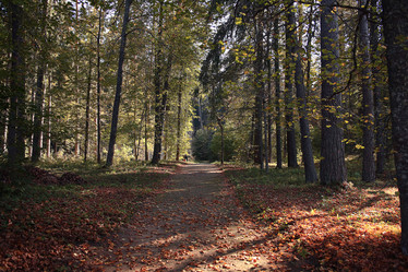 Similar image 10500648