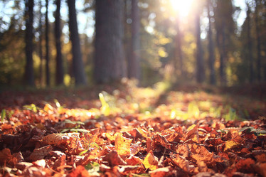 Similar image 10500649