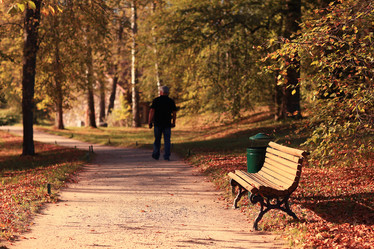 Similar image 10500650