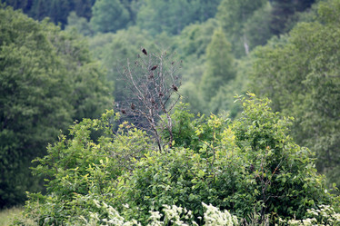 Similar image 10500655