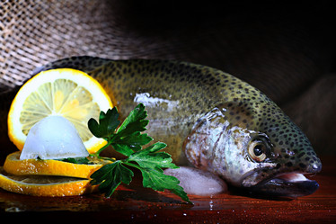 Similar image 10500669