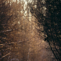 Similar image 10500674