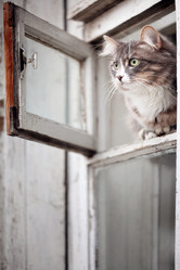 Similar image 10500679