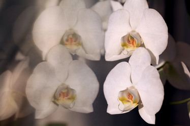 Similar image 10500681