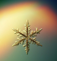 Similar image 10500693