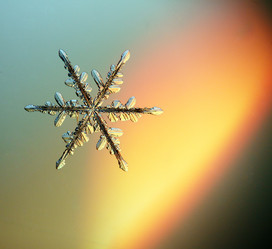 Similar image 10500695