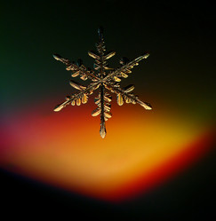 Similar image 10500696