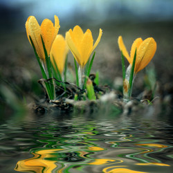 Similar image 10500699