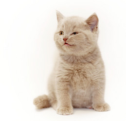 Similar image 10500713