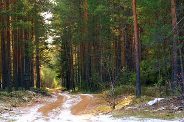 Similar image 10500728