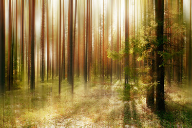 Similar image 10500729