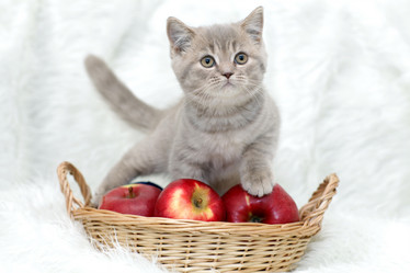 Similar image 10500733