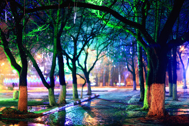 Similar image 10500735