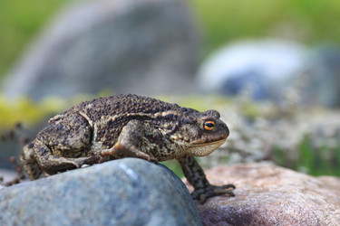 Similar image 10500737