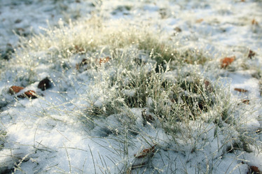 Similar image 10500747