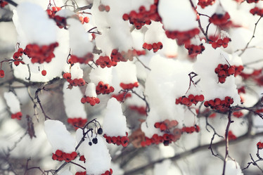 Similar image 10500750