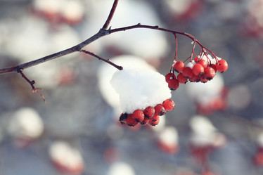 Similar image 10500751