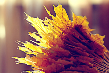 Similar image 10500768