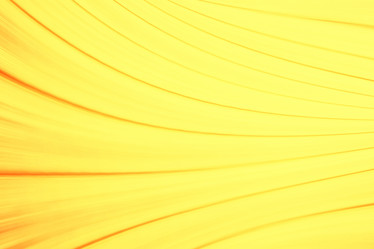 Similar image 10500769