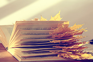 Similar image 10500770