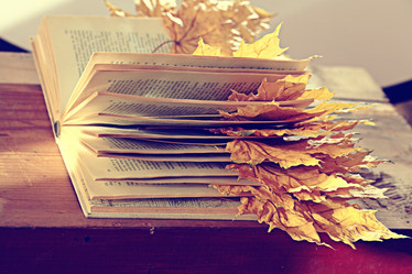 Similar image 10500772