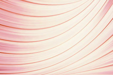 Similar image 10500778