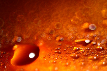 Similar image 10500796