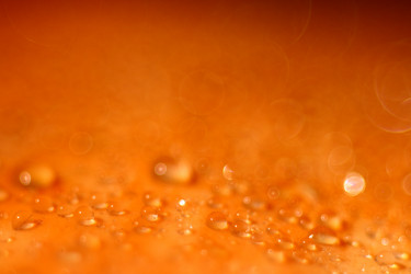 Similar image 10500804