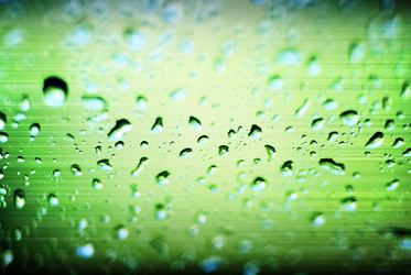 Similar image 10500818