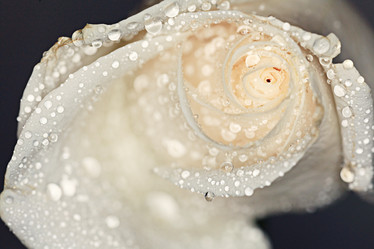 Similar image 10500849