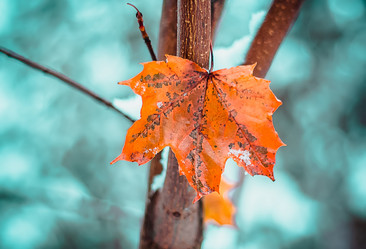 Similar image 10501414