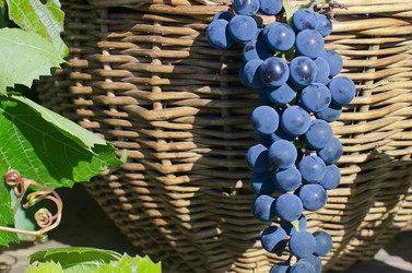 Similar image 10501563