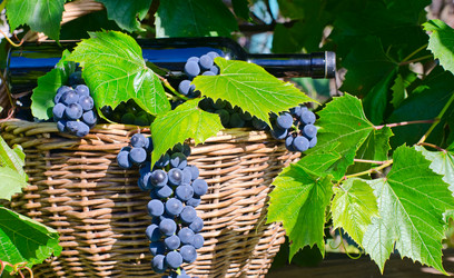 Similar image 10501564