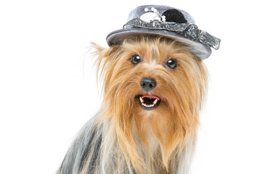 Similar image 10501573