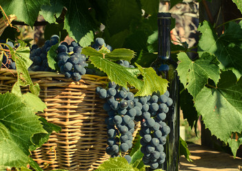 Similar image 10501595