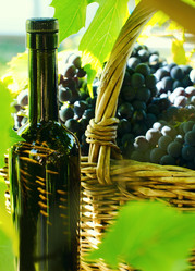 Similar image 10501596