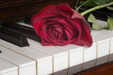 Similar image 10501610