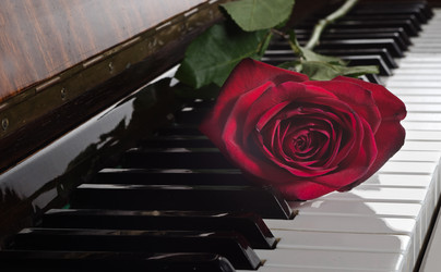 Similar image 10501611