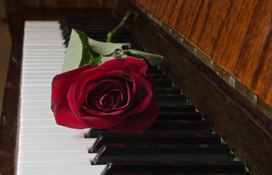 Similar image 10501614