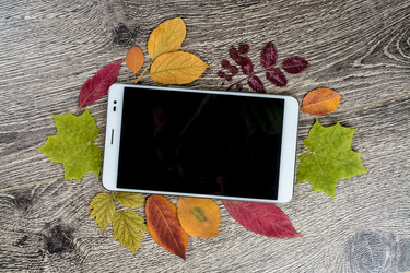 Similar image 10501735