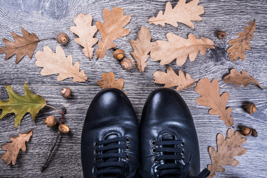 Similar image 10501736