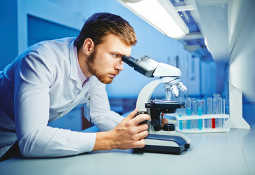 Similar image 10501826