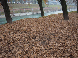 Similar image 10501871