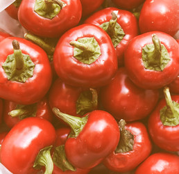 Similar image 10501899