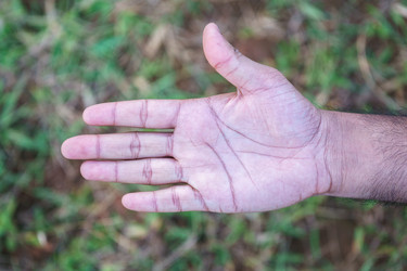 Similar image 10502111